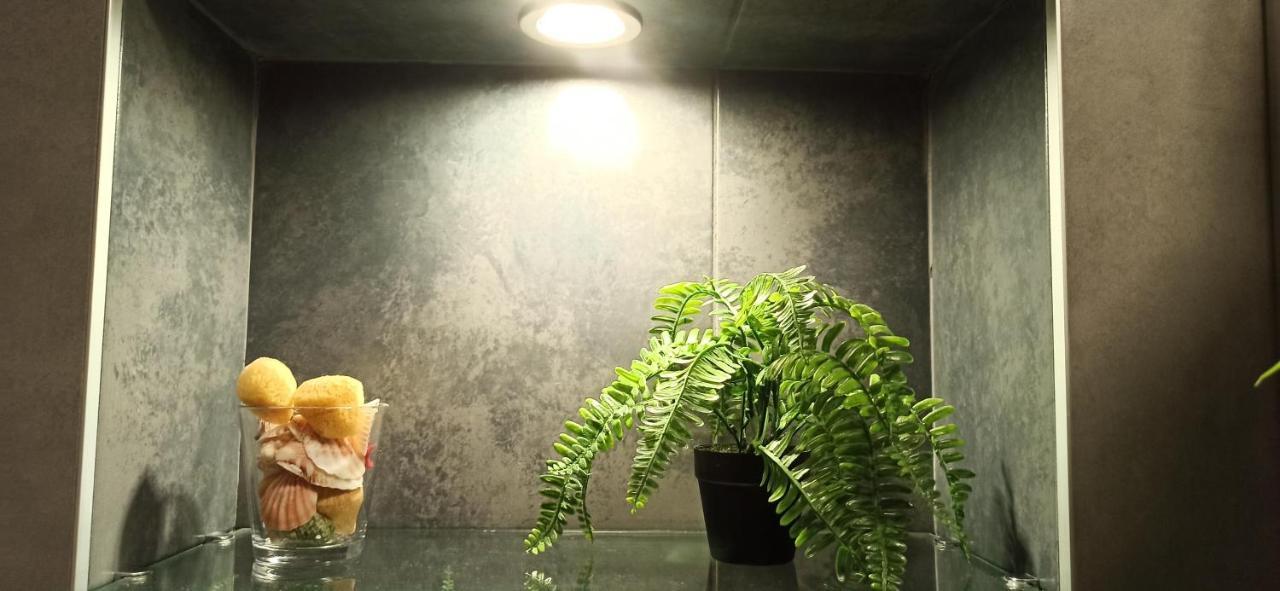 Apartmán Apartman 29 Bělehrad Exteriér fotografie