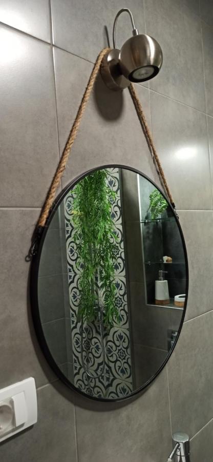 Apartmán Apartman 29 Bělehrad Exteriér fotografie